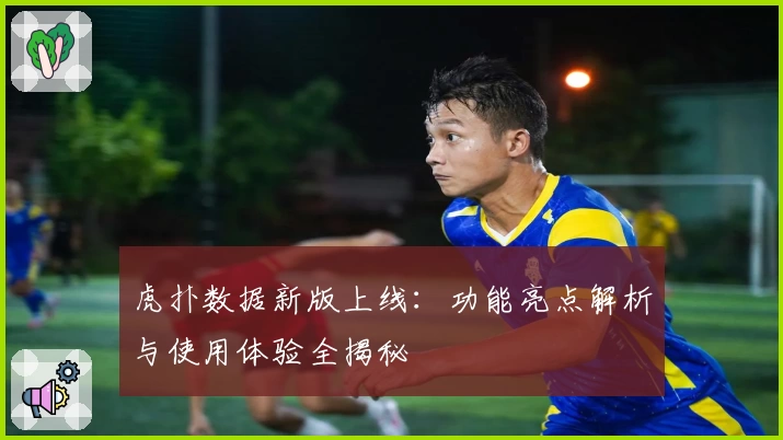 虎扑数据新版上线：功能亮点解析与使用体验全揭秘