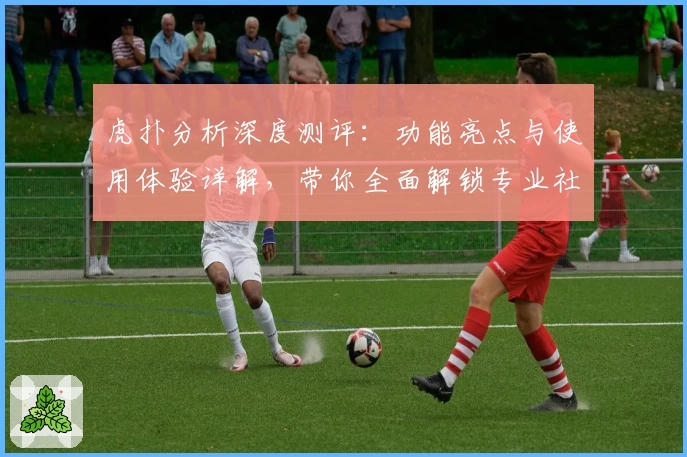 虎扑分析深度测评：功能亮点与使用体验详解，带你全面解锁专业社区魅力